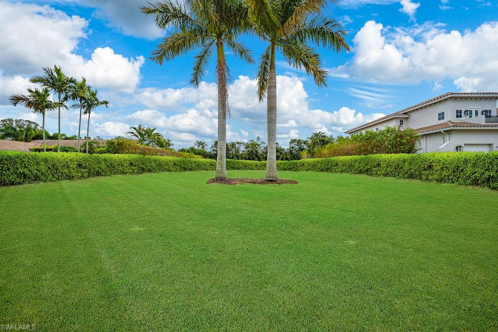 a view of a park with a big yard and palm trees