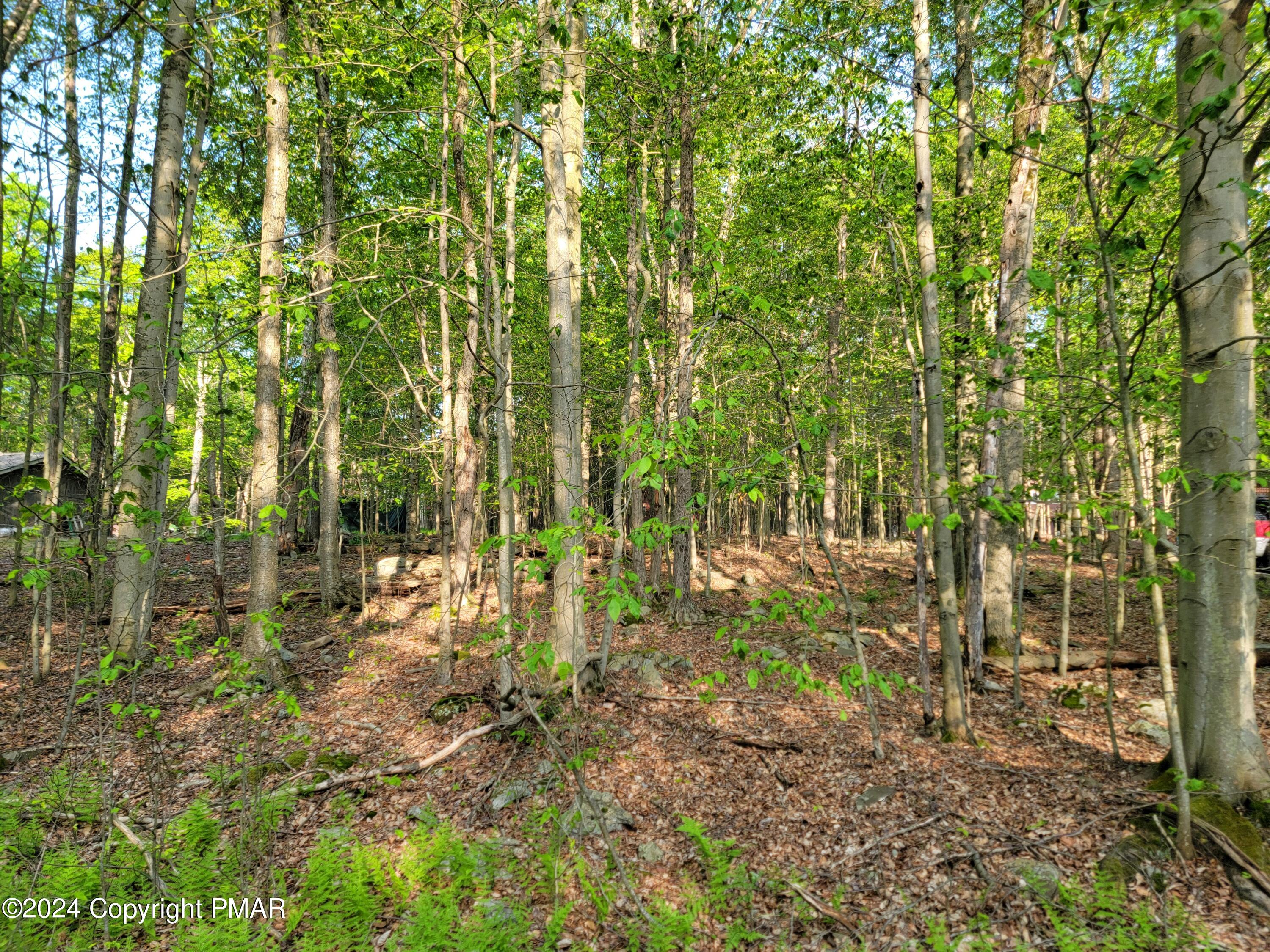 a view of outdoor space with trees