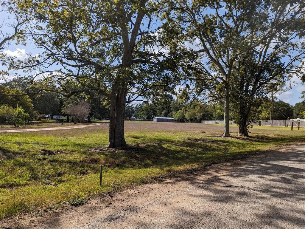 a view of a yard with large trees