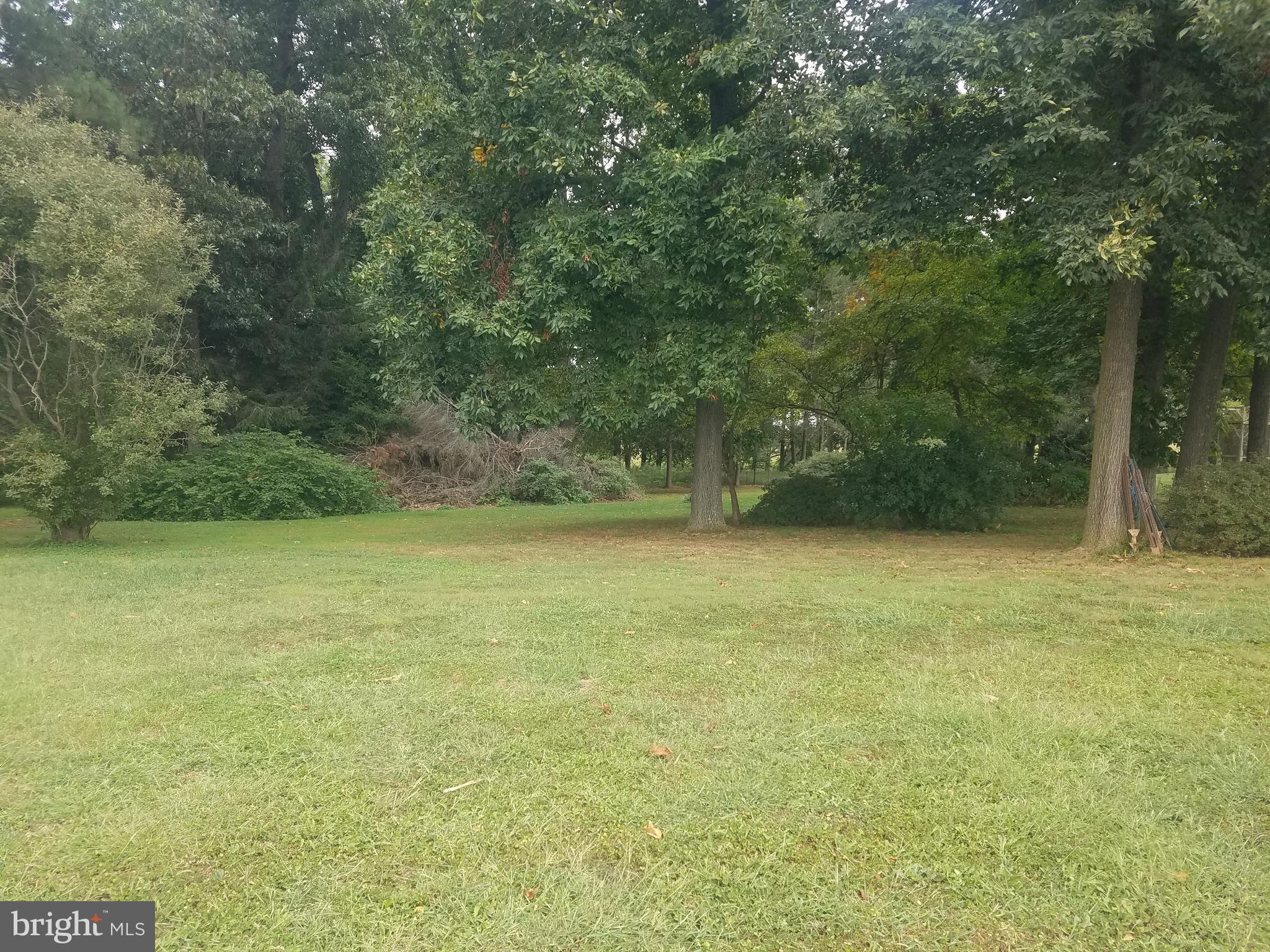 a view of a yard with an outdoor space