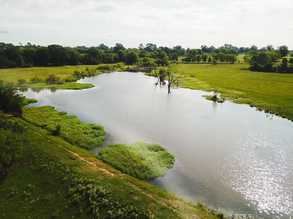 a view of a lake with a yard