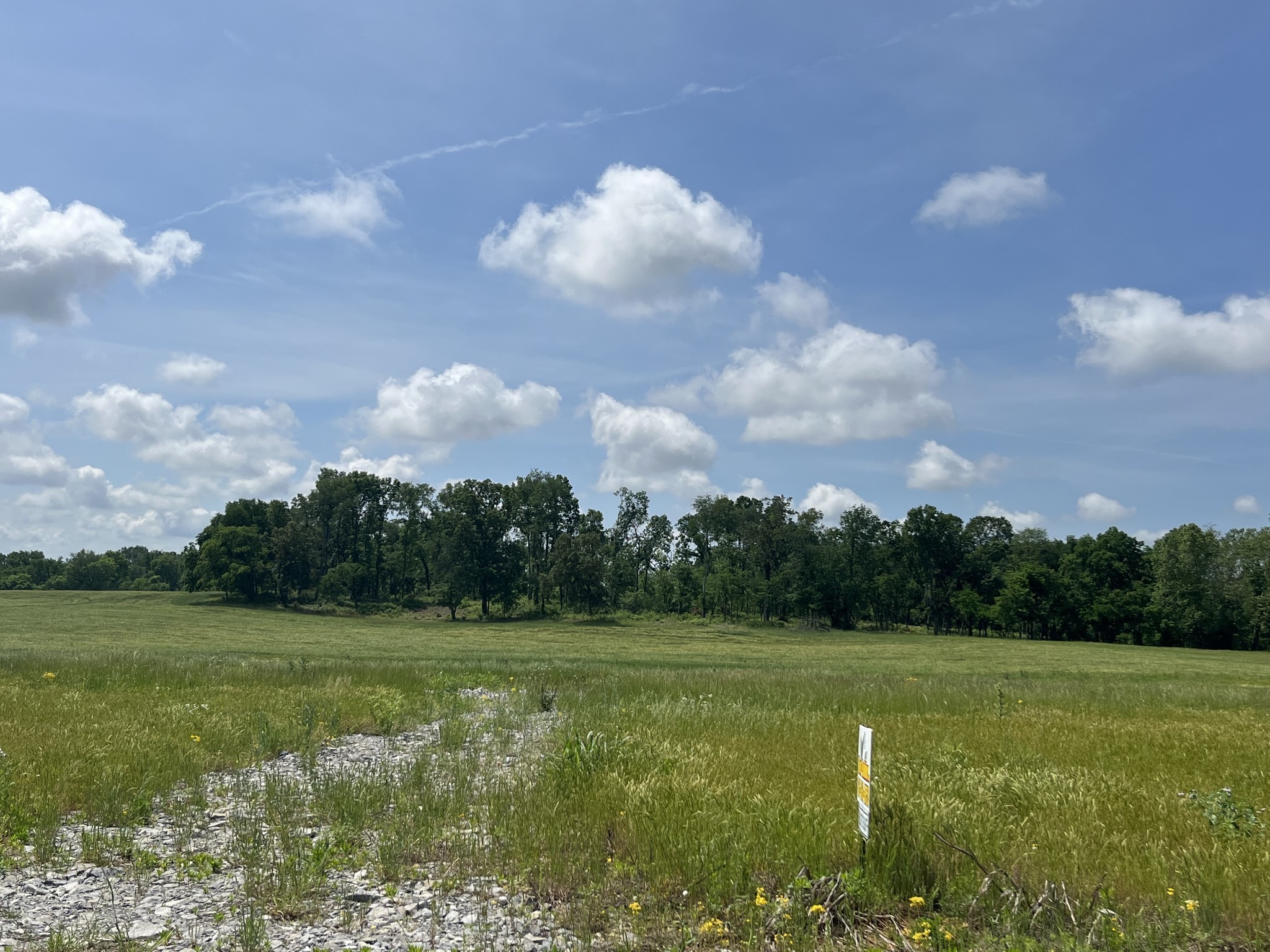 a view of a grassy field