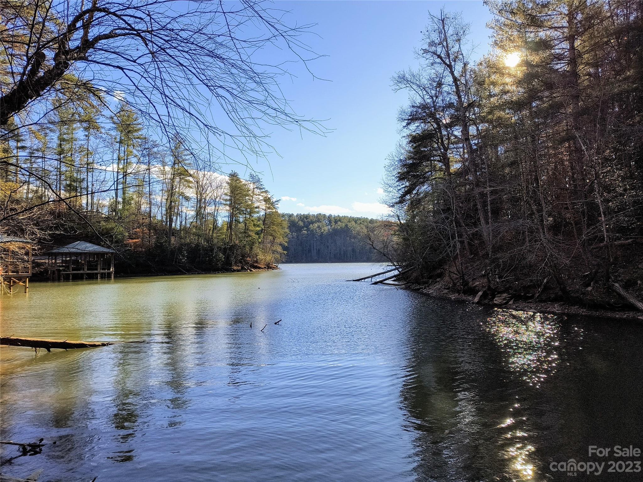 a view of a lake with houses in the background