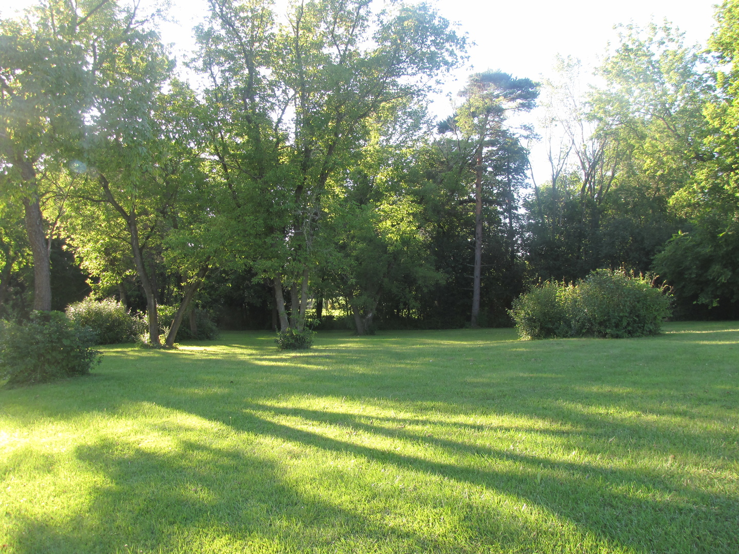 a view of a grassy field with trees