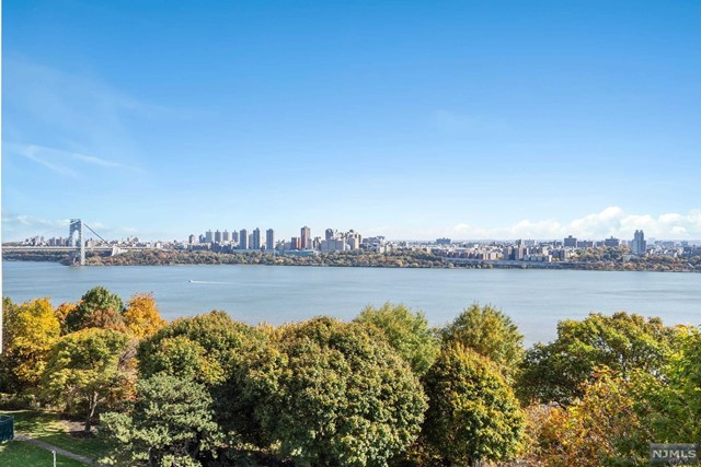 a view of a lake with a city view