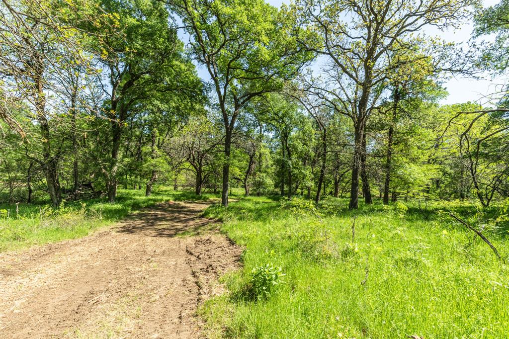 a big yard with lots of green space and trees