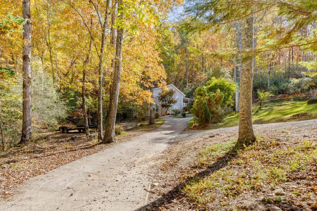 a view of a yard with trees in the background