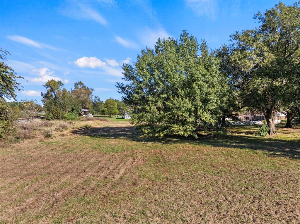 a view of a yard with an trees