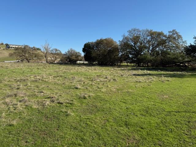 a view of a field with an ocean