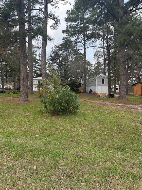 a view of a yard with plants and trees