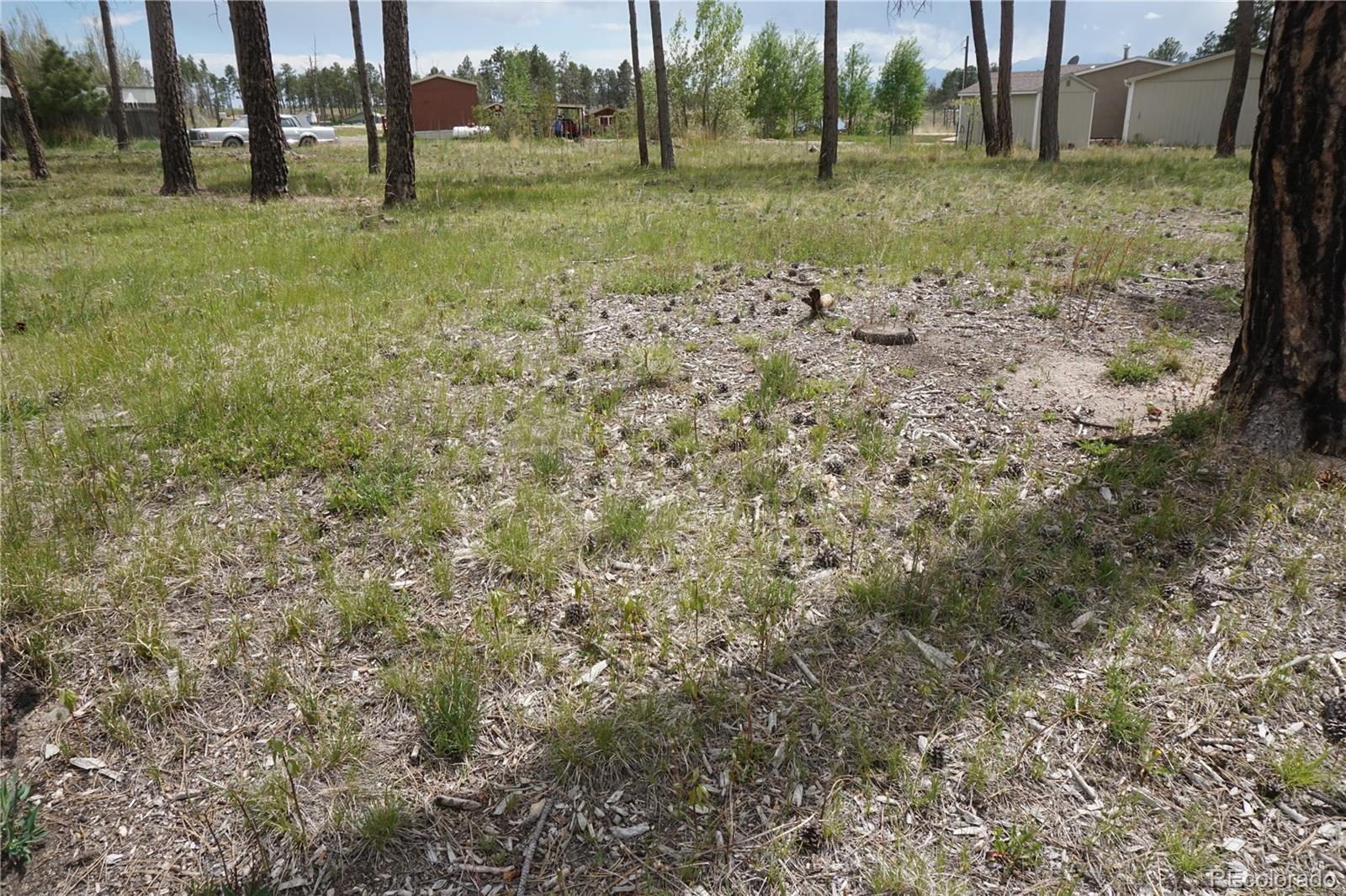 a view of outdoor space with trees all around