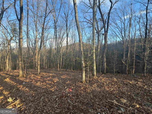 $54,900 | Lot 55 Teel Mountain Drive