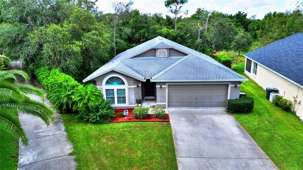 a house view with a garden