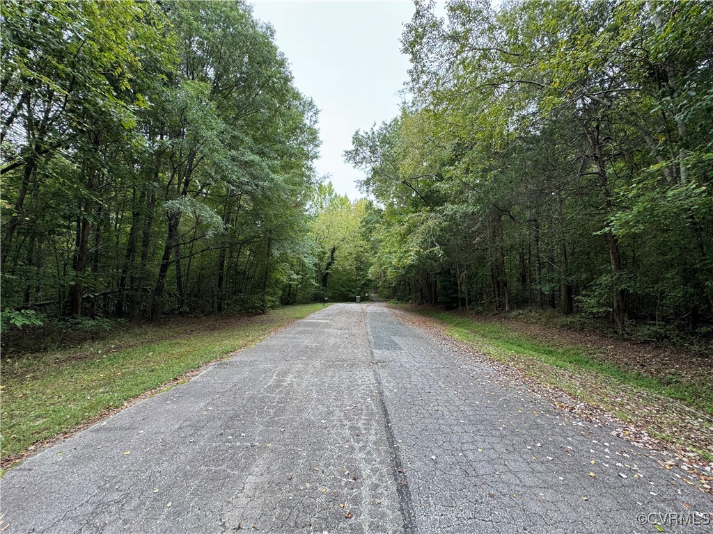 a view of a field with trees in the background