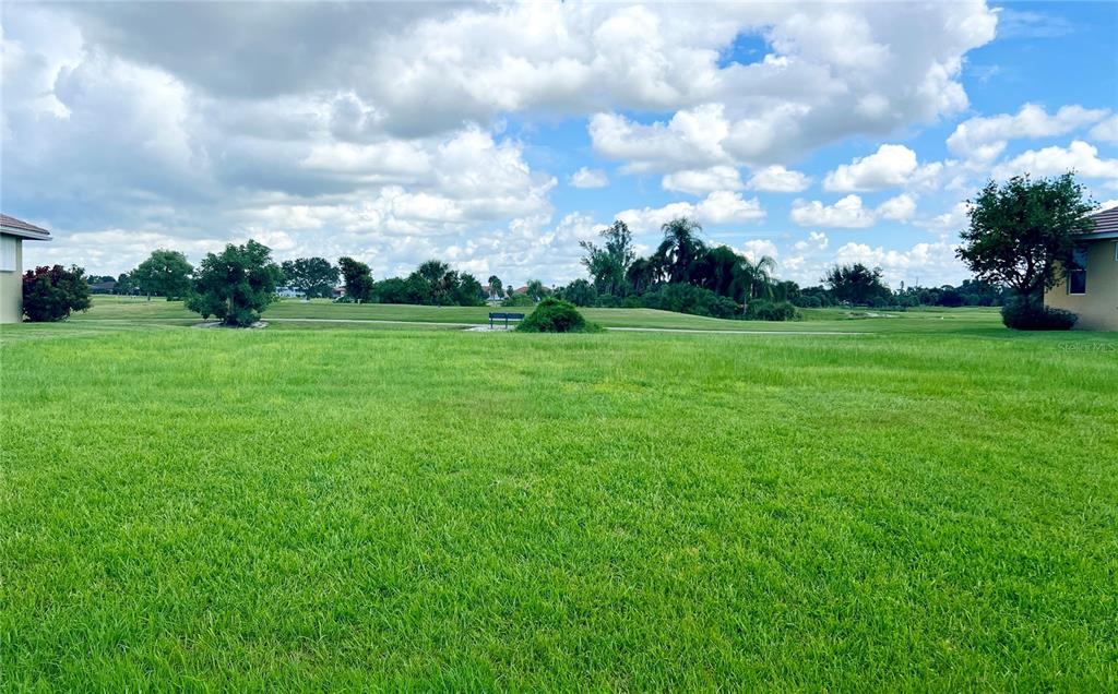 a view of a field of grass and trees