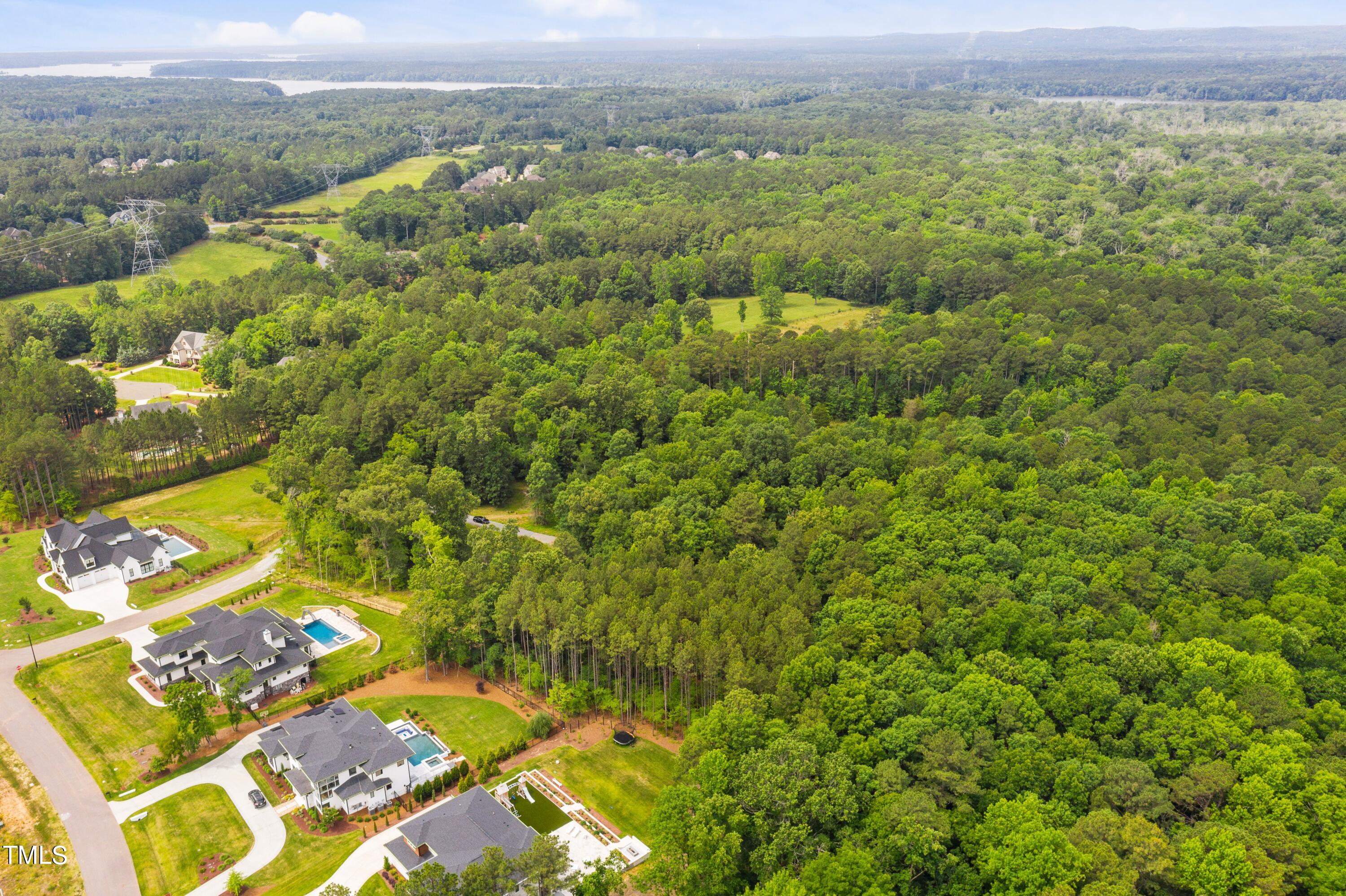 a view of a city with lush green forest