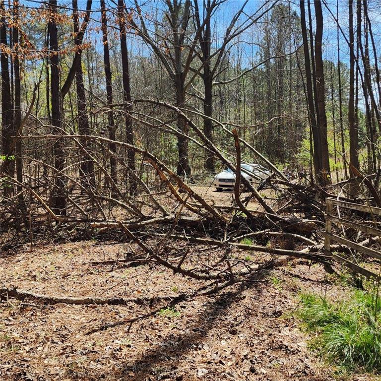 a view of a yard with a tree