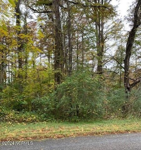 $75,000 | Tbd Swain Mill Road | Harrellsville Township - Hertford County