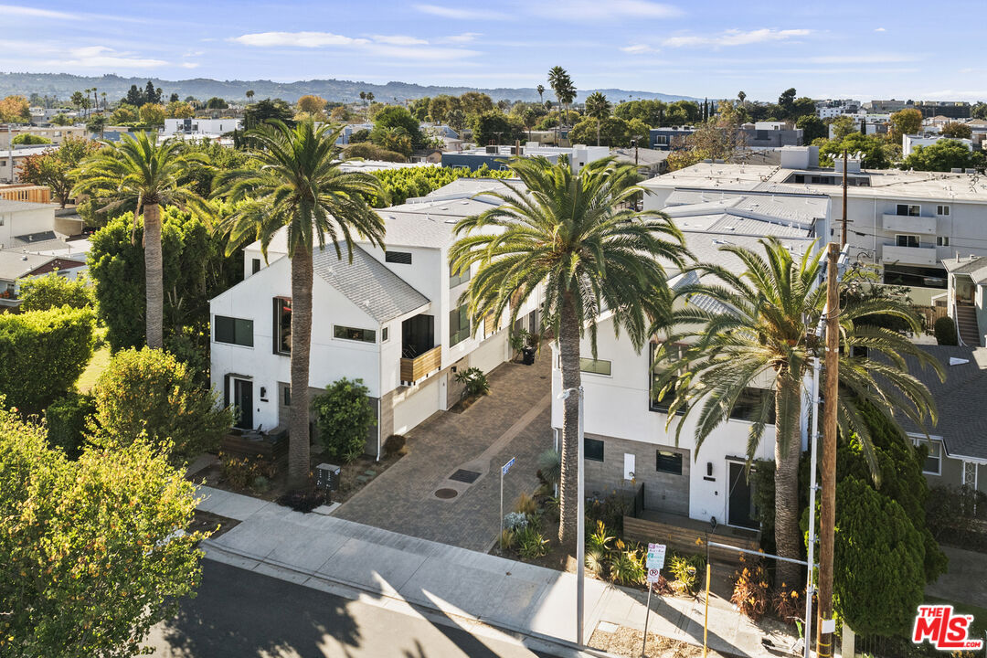 a view of a palm tree with an ocean from a balcony