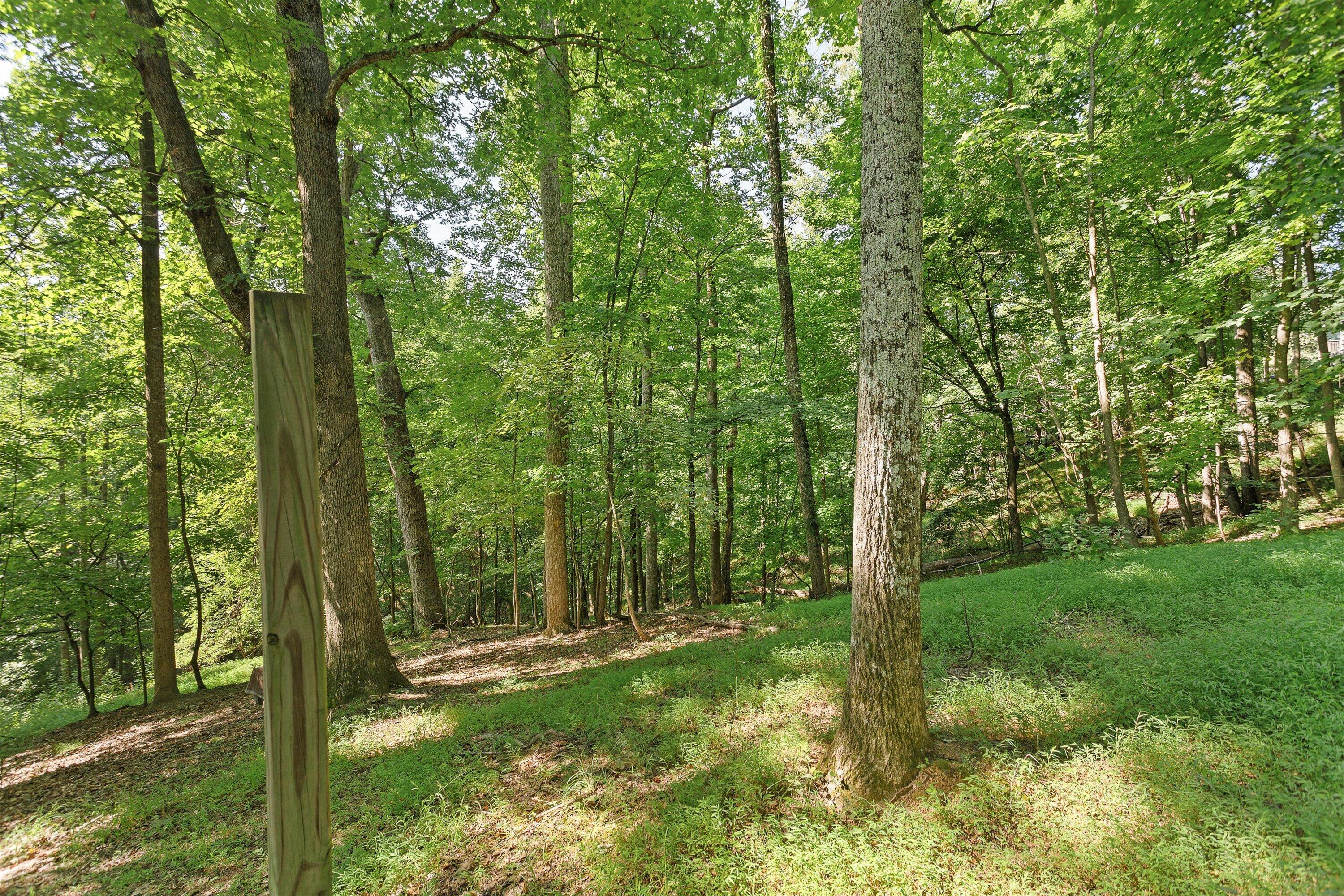 a view of outdoor space and yard