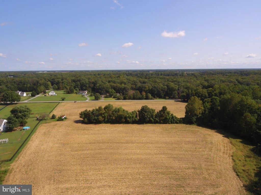 a view of a field with an ocean view