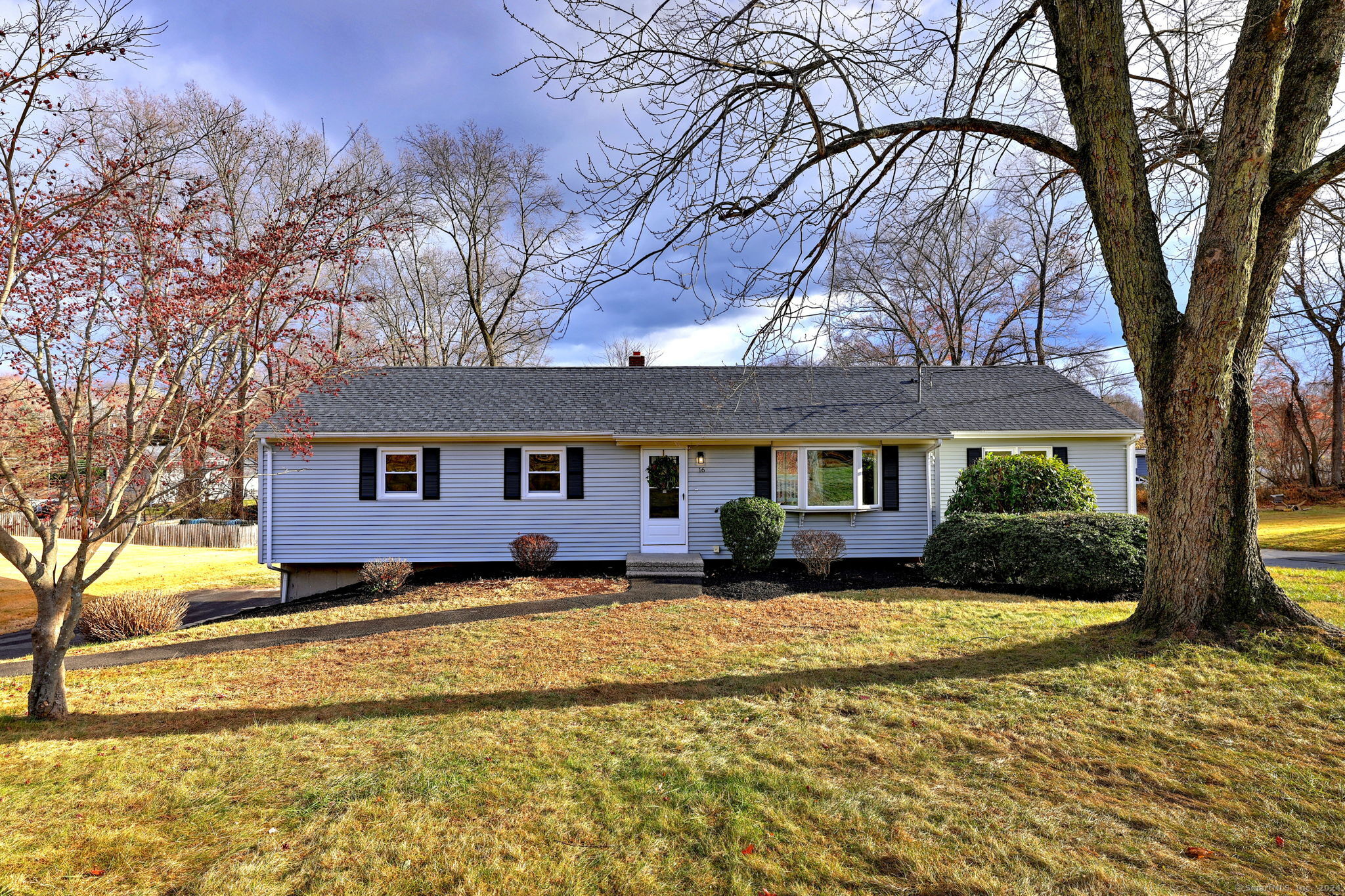 a view of a house with a large tree in front of a house