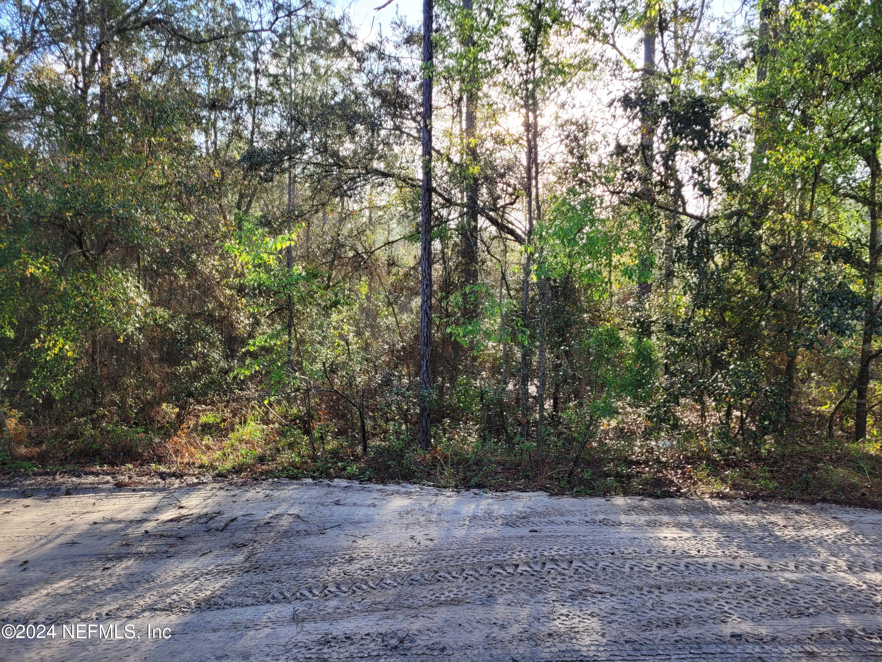 a view of a yard with large trees