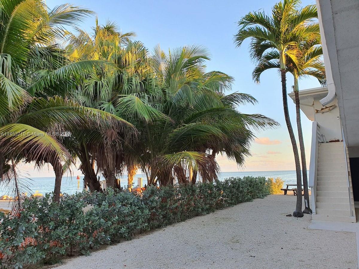 a view of a palm tree with a palm tree