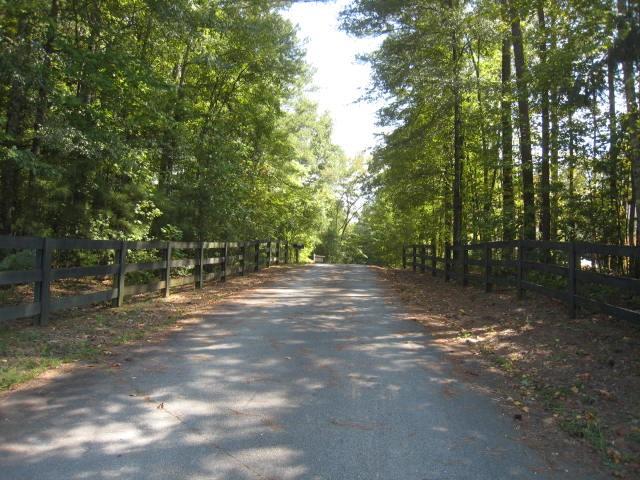 a view of a forest with trees