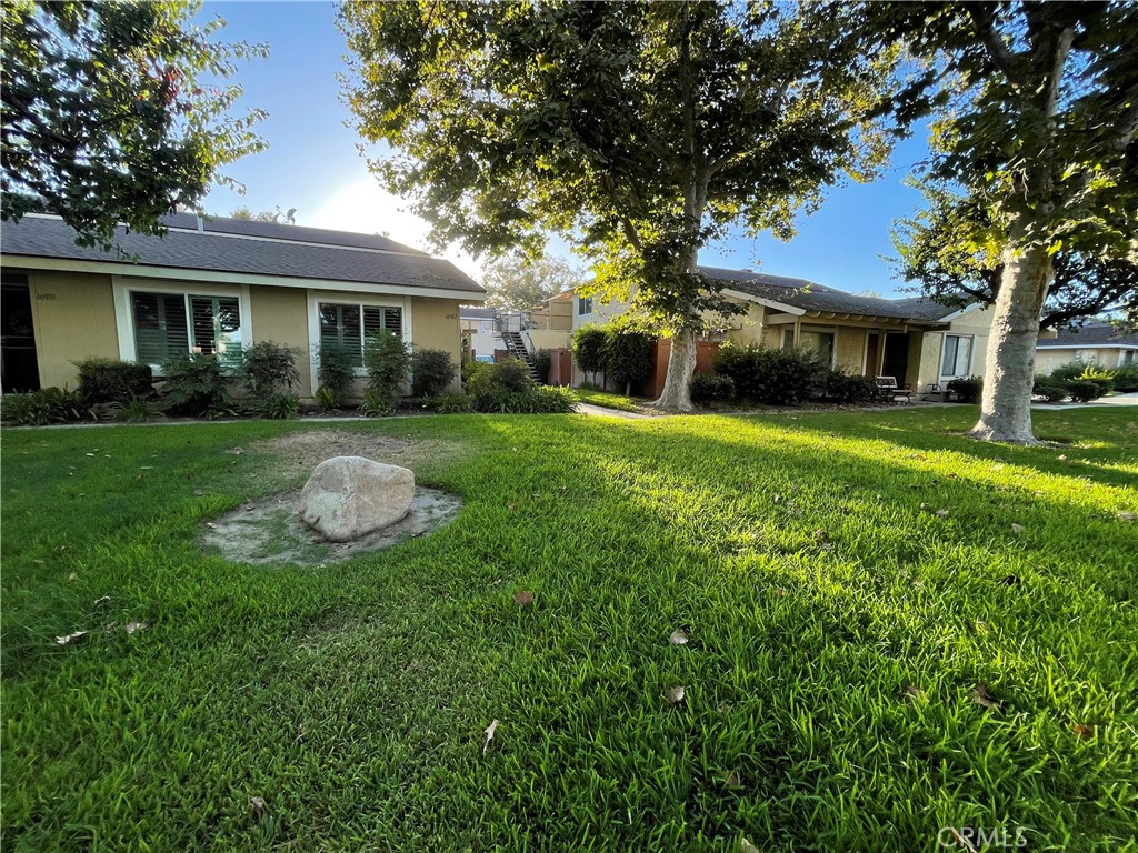 a front view of house with yard and trees