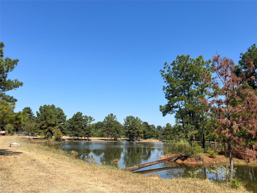 a view of a lake with houses in the background