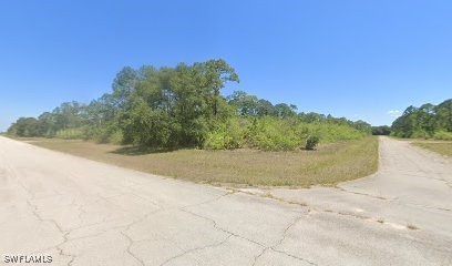 a view of a dry yard with trees