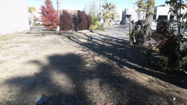 a view of side of a road with trees