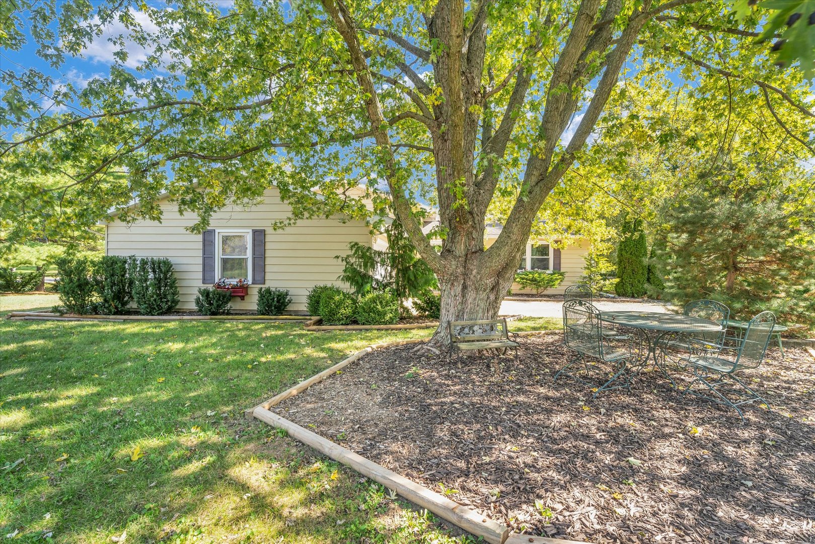 a view of a house with yard and a tree