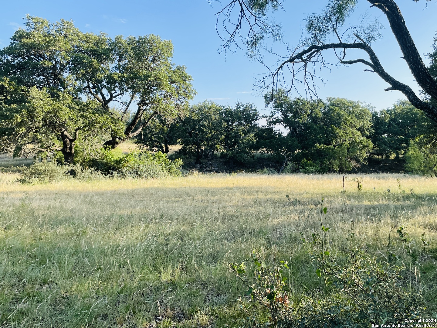 a view of an outdoor space and a yard