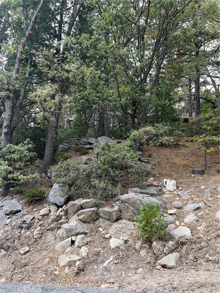 a big yard with lots of green space and deers