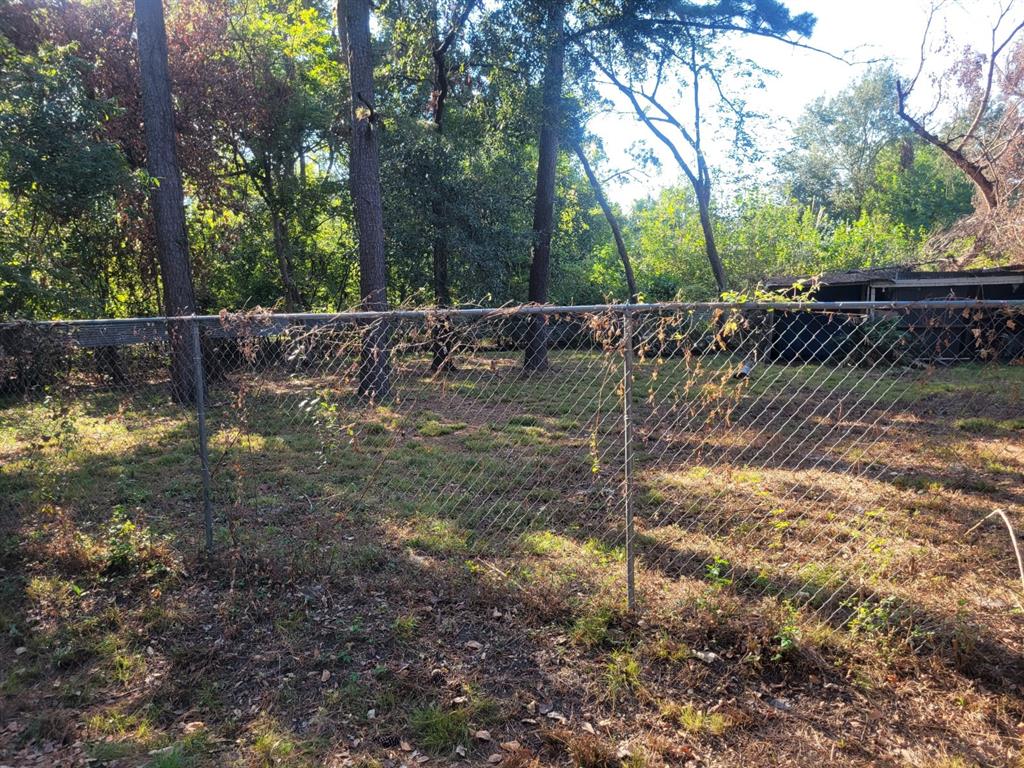 a view of a yard with large trees