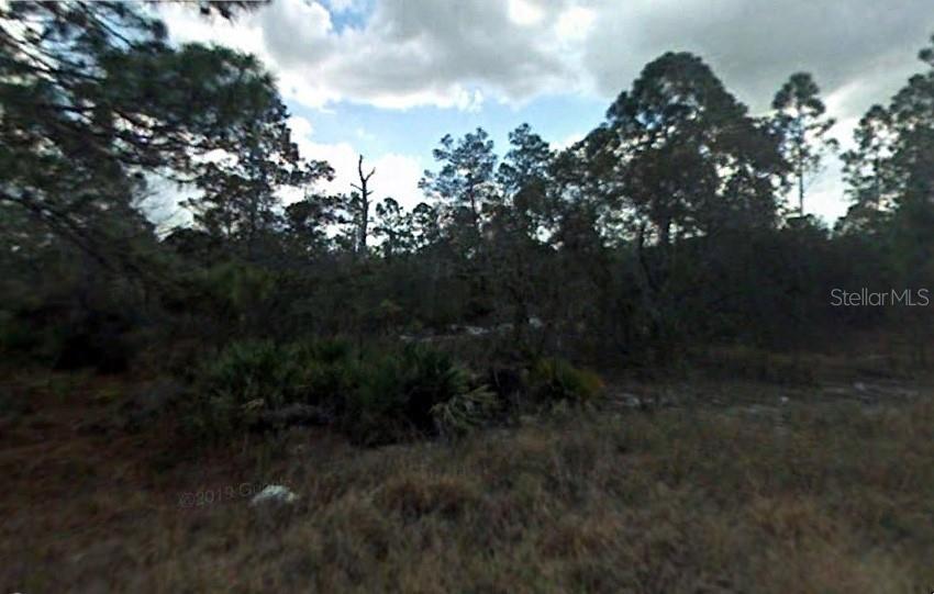 a view of outdoor space and covered with trees in the background