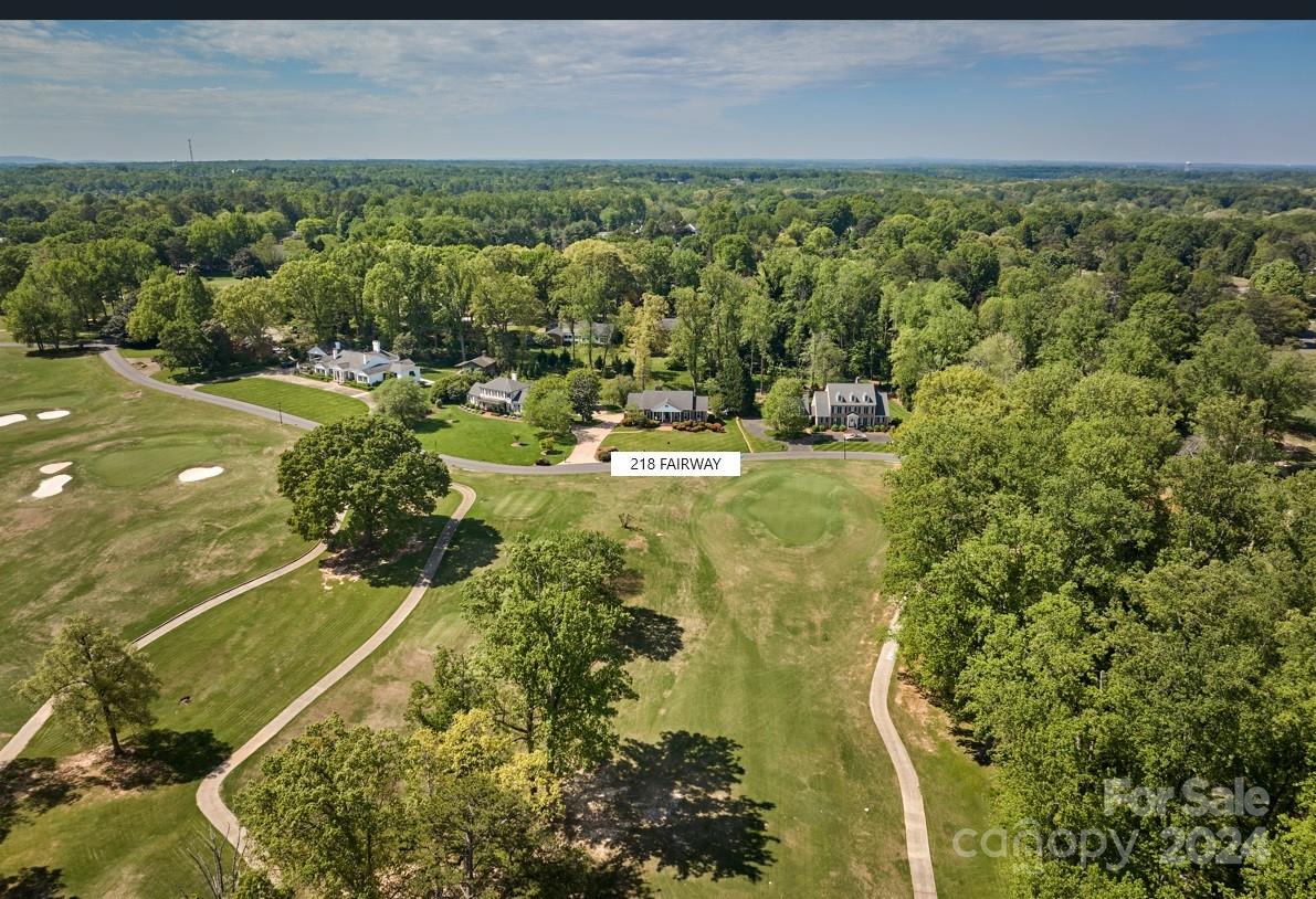 a view of a yard