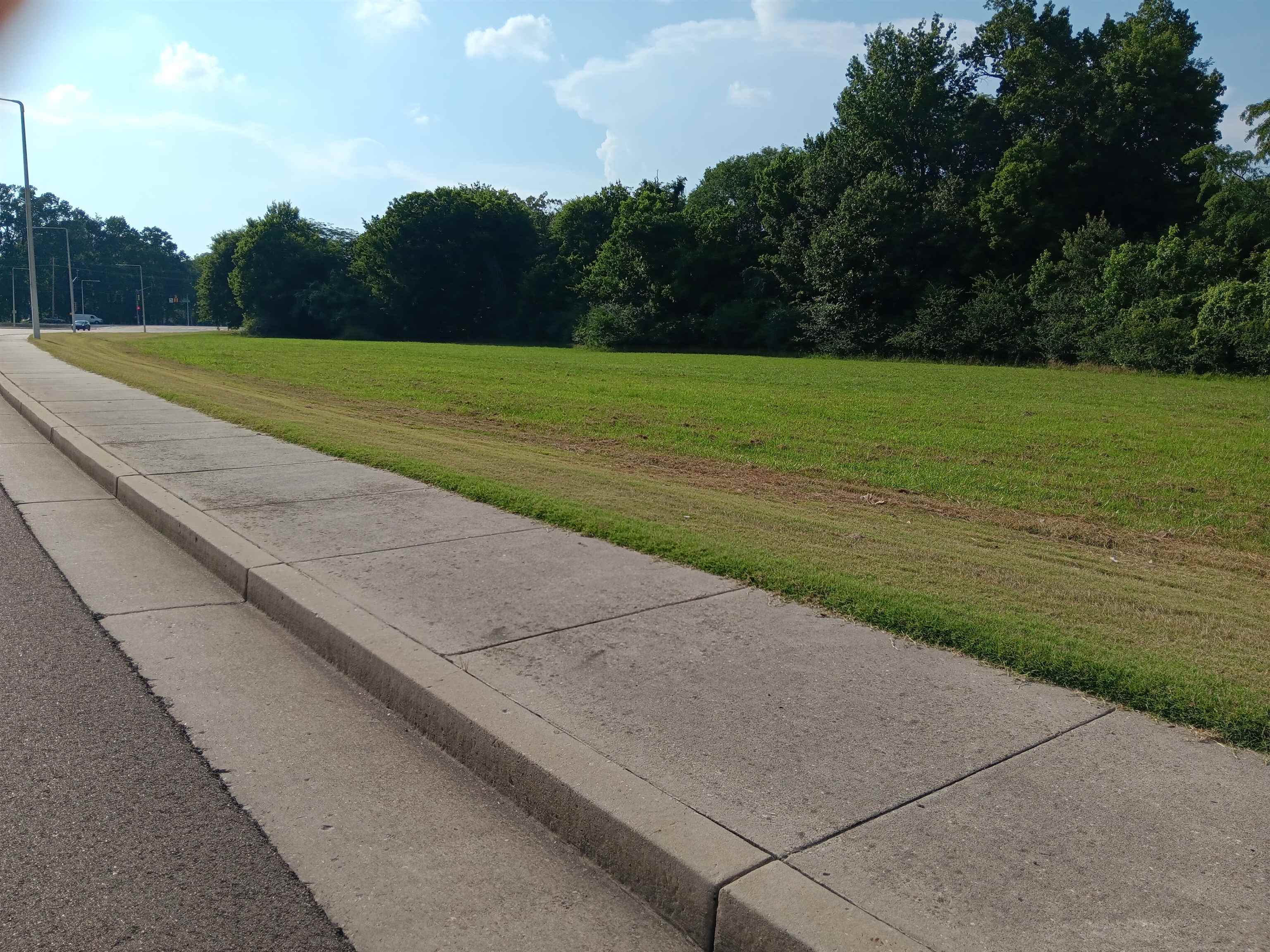 a view of a field with a yard