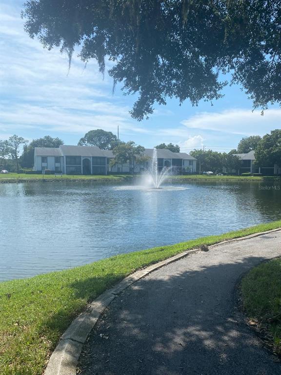 a view of a lake with houses in the back