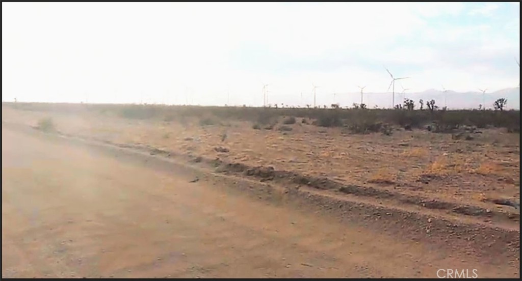 a view of a dry yard with trees