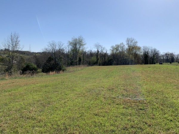 a view of a field with trees in the background