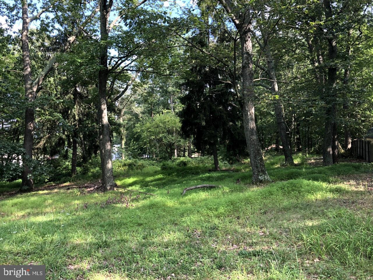 a view of a park with trees in the background