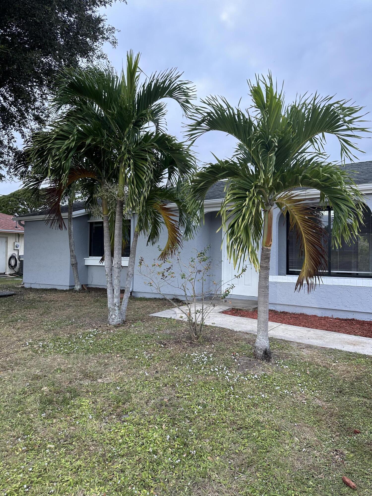 a backyard of a house with potted plants and palm trees