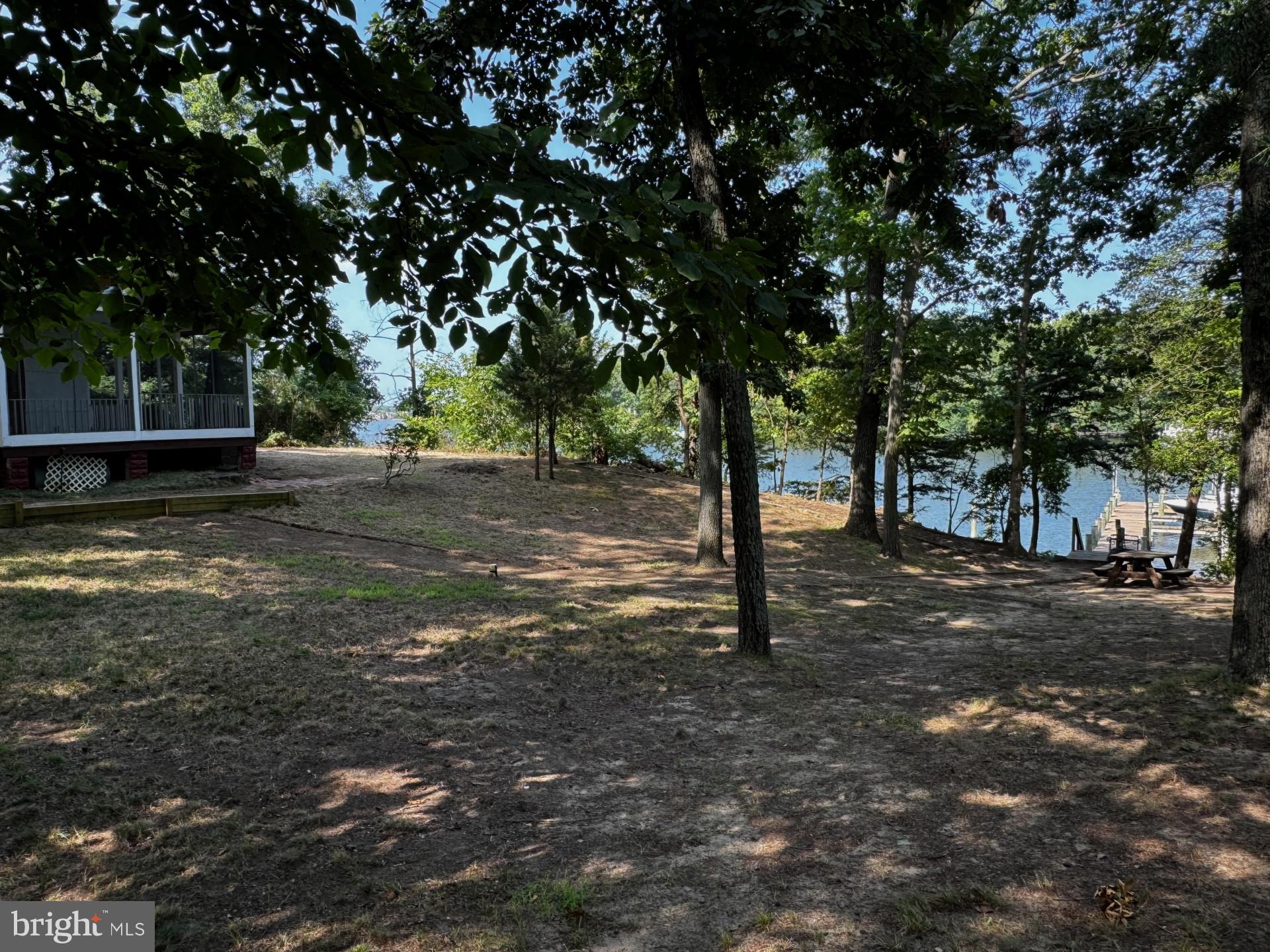 a view of a tree in the middle of a yard