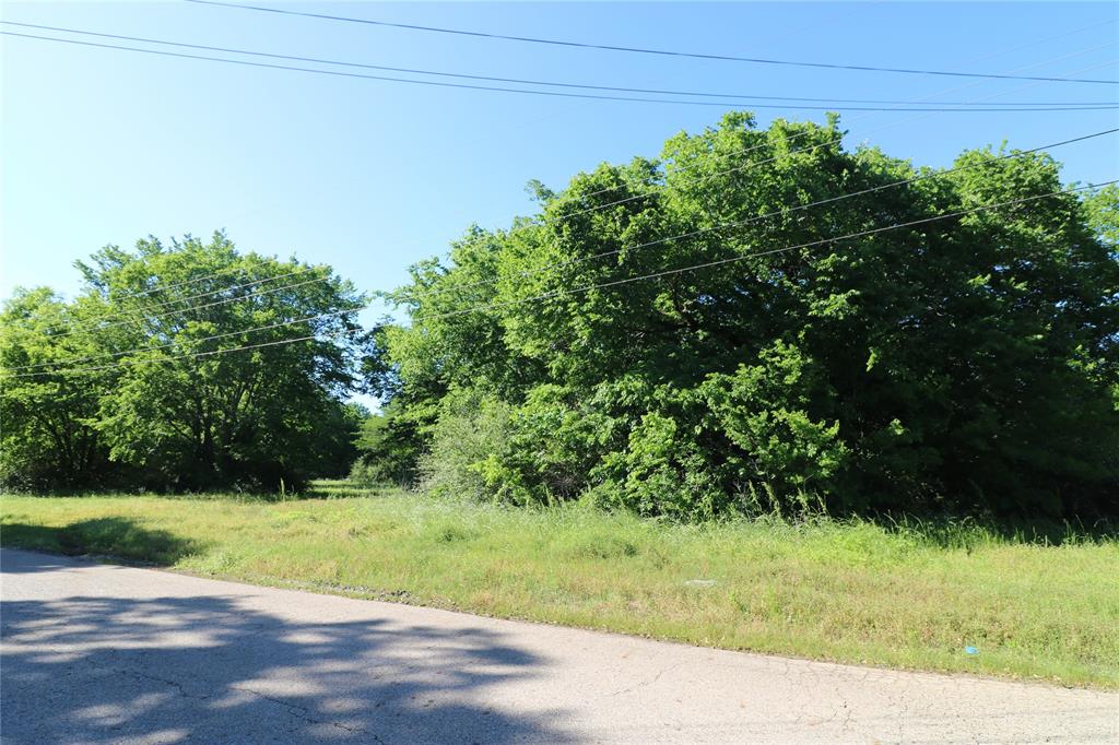 a view of a yard