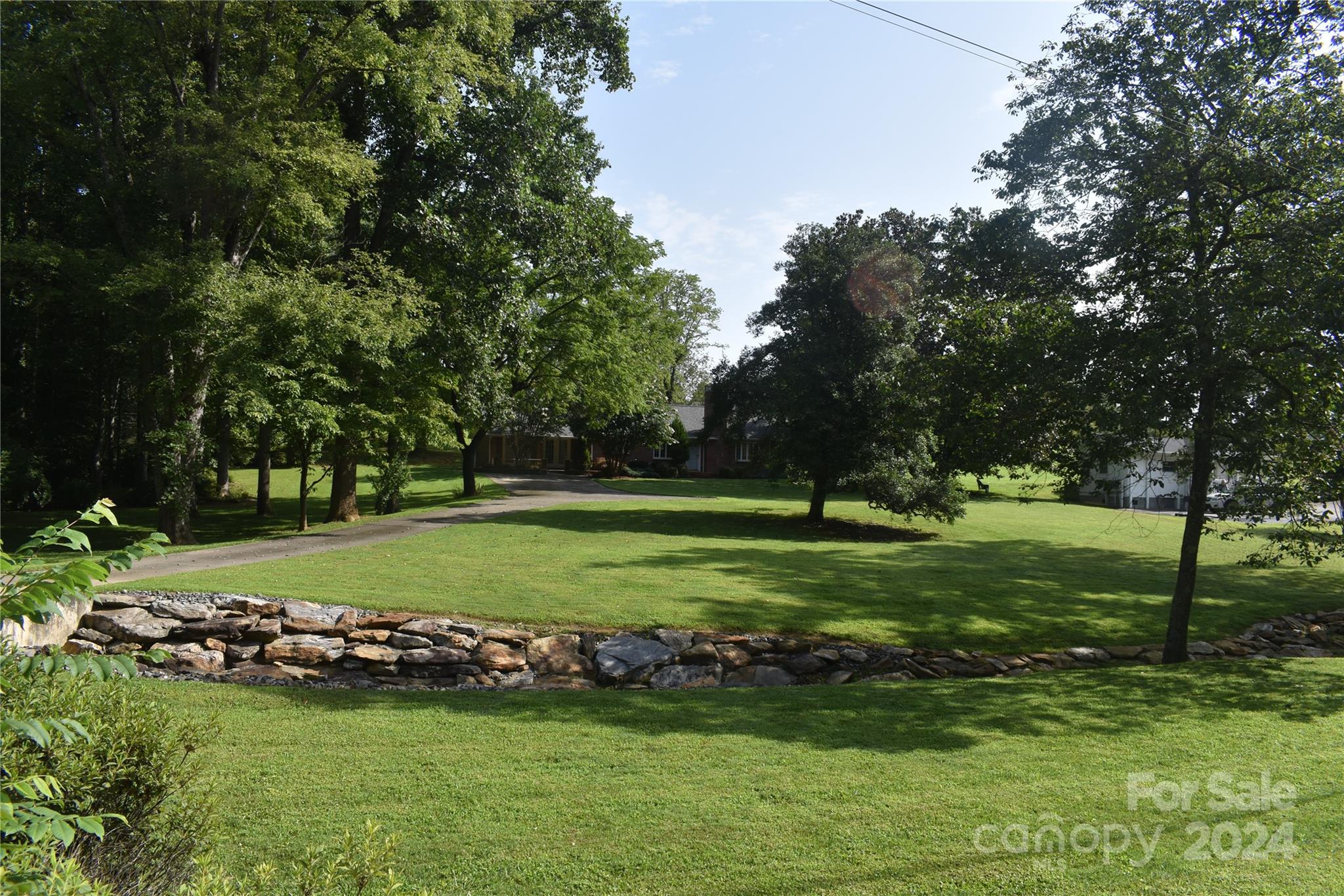 a view of a park with large trees