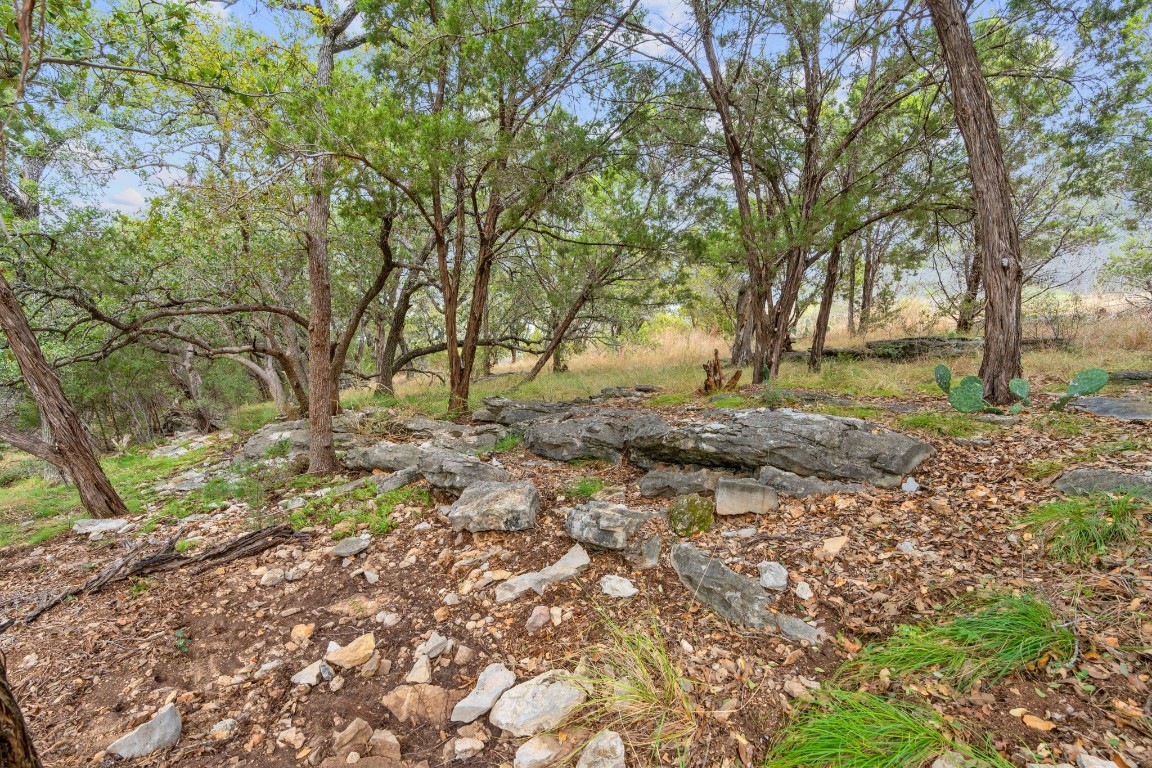 a view of backyard with green space