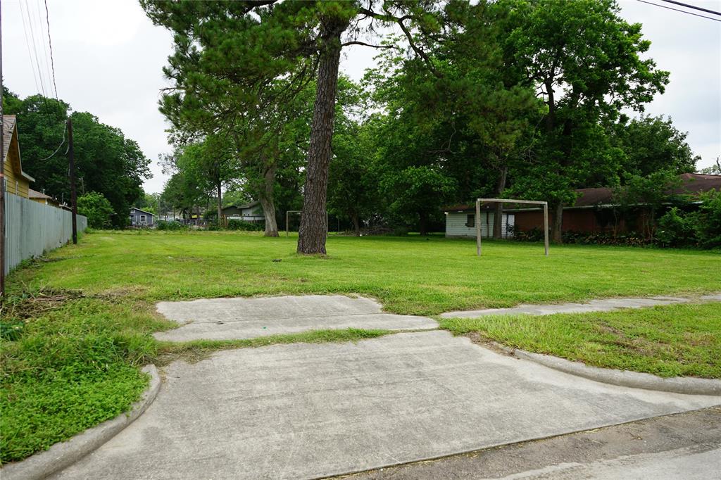 a view of a backyard with large trees